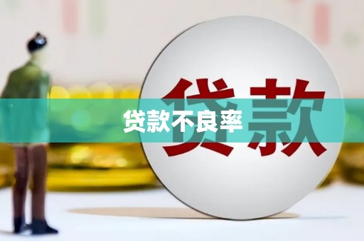 偃师贷款不良率