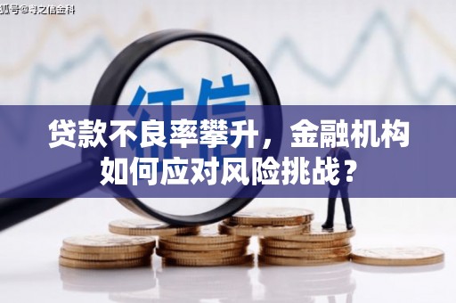 偃师贷款不良率攀升，金融机构如何应对风险挑战？
