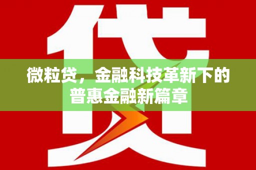 偃师微粒贷，金融科技革新下的普惠金融新篇章