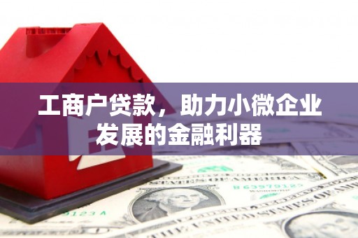 偃师工商户贷款，助力小微企业发展的金融利器