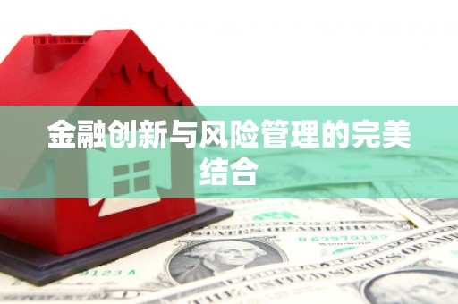 偃师金融创新与风险管理的完美结合