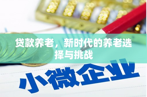 偃师贷款养老，新时代的养老选择与挑战