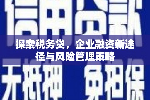 偃师探索税务贷，企业融资新途径与风险管理策略