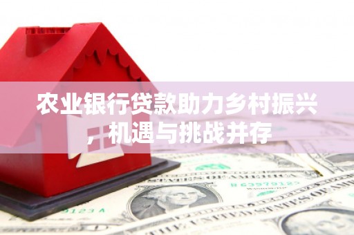 偃师农业银行贷款助力乡村振兴，机遇与挑战并存