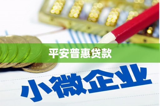 偃师平安普惠贷款