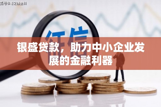 偃师银盛贷款，助力中小企业发展的金融利器