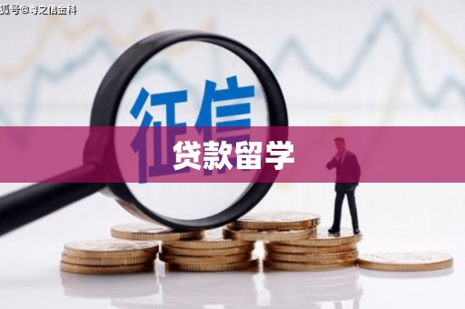 偃师贷款留学