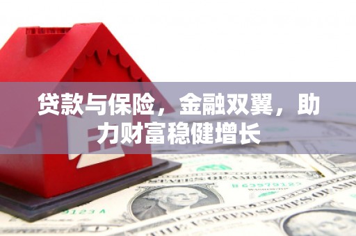 偃师贷款与保险，金融双翼，助力财富稳健增长