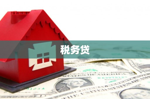 偃师税务贷