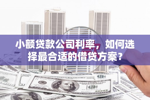 偃师小额贷款公司利率，如何选择最合适的借贷方案？