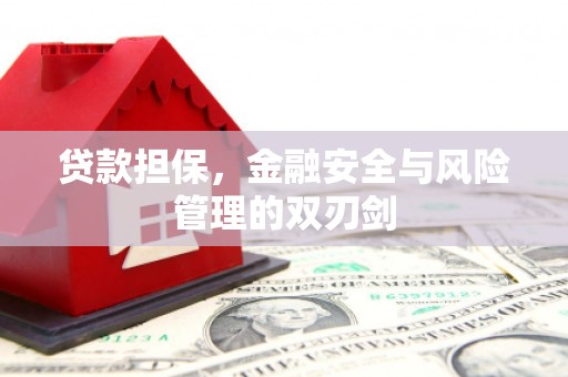 偃师贷款担保，金融安全与风险管理的双刃剑
