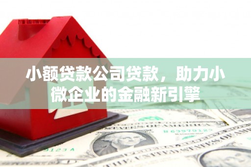 偃师小额贷款公司贷款，助力小微企业的金融新引擎