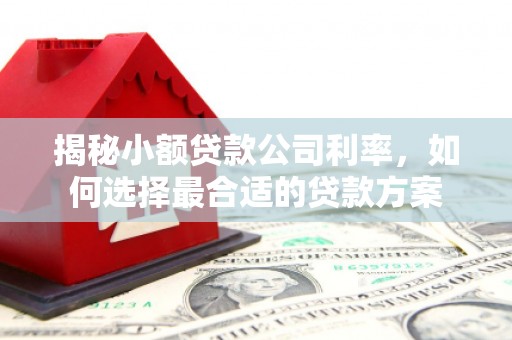 偃师揭秘小额贷款公司利率，如何选择最合适的贷款方案