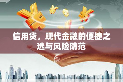 偃师信用贷，现代金融的便捷之选与风险防范