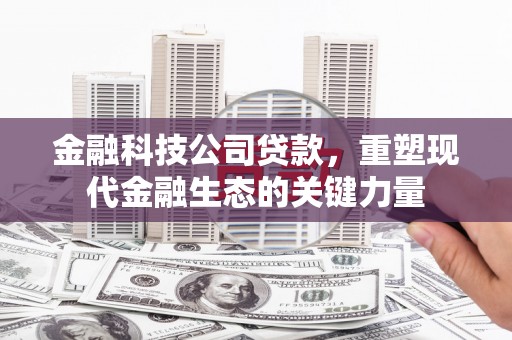 偃师金融科技公司贷款，重塑现代金融生态的关键力量