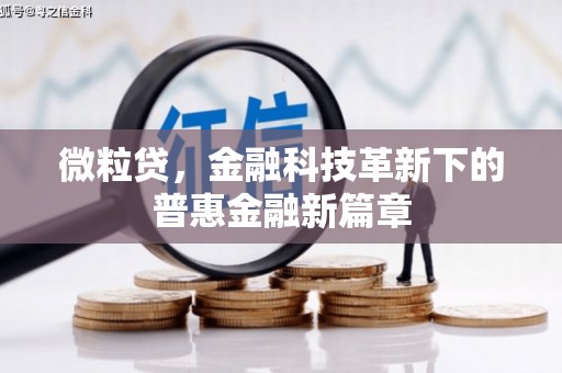 偃师微粒贷，金融科技革新下的普惠金融新篇章