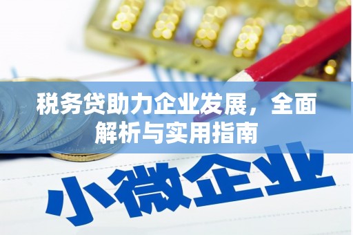 偃师税务贷助力企业发展，全面解析与实用指南
