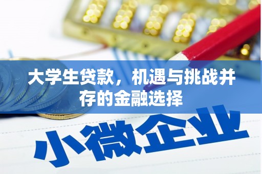 偃师大学生贷款，机遇与挑战并存的金融选择