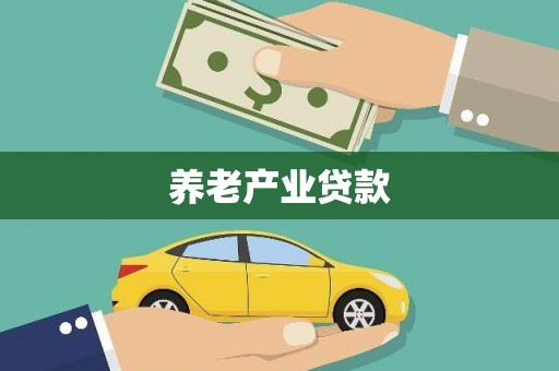 偃师养老产业贷款