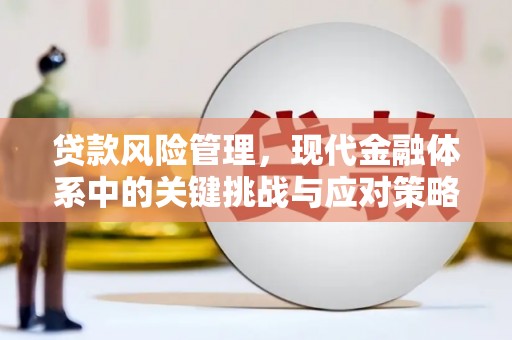 偃师贷款风险管理，现代金融体系中的关键挑战与应对策略