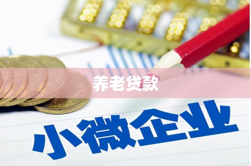 偃师养老贷款