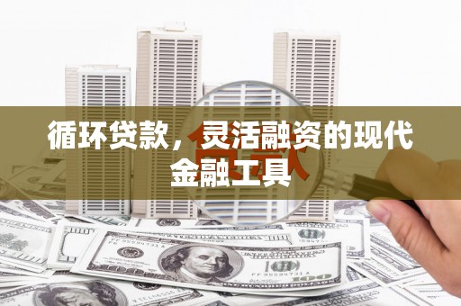 偃师循环贷款，灵活融资的现代金融工具