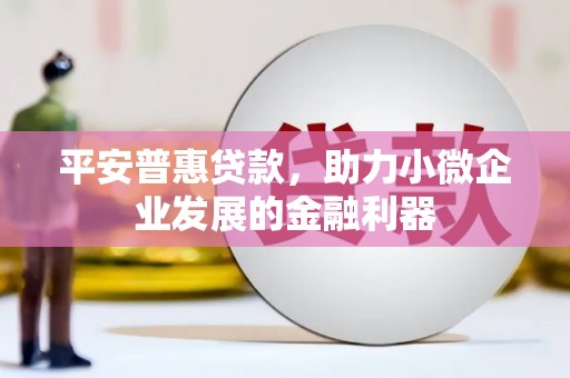 偃师平安普惠贷款，助力小微企业发展的金融利器