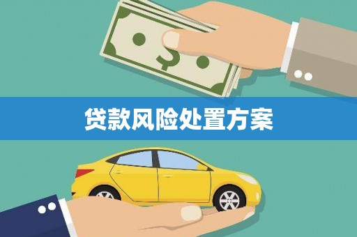 偃师贷款风险处置方案