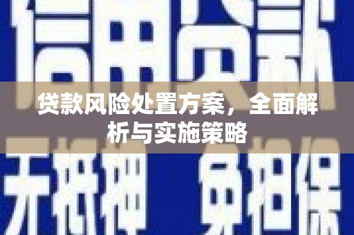 偃师贷款风险处置方案，全面解析与实施策略