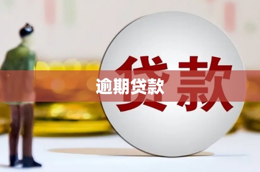 偃师逾期贷款