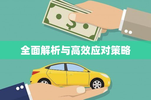 偃师全面解析与高效应对策略